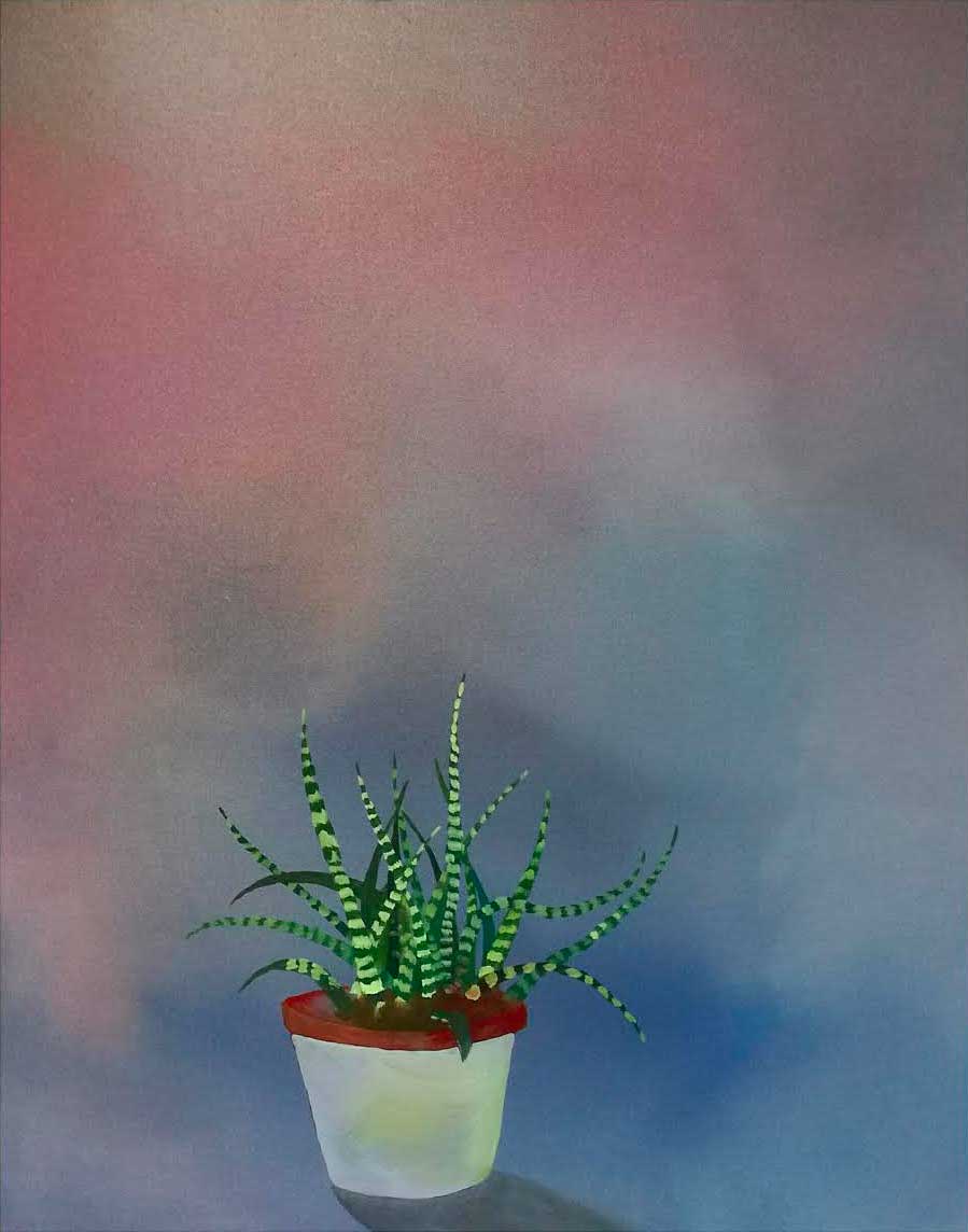 Cactus, Laura Hecker